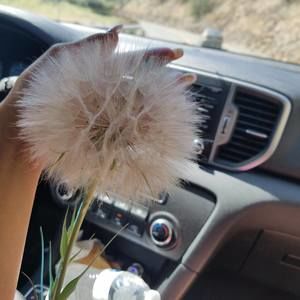 Meet your Posher, Rea